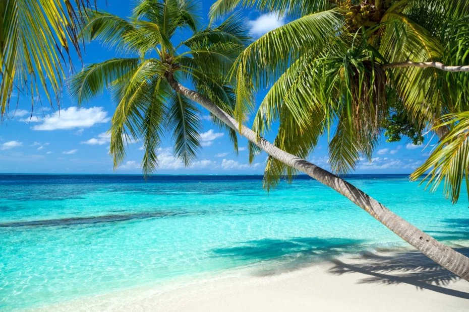 Traumstrand mit Palmen